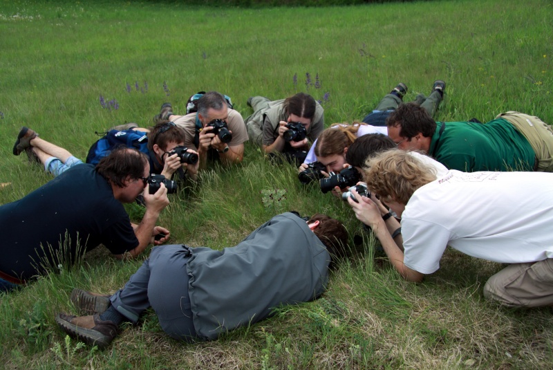 Soubor:Wikitrip with botanist in Lodenice region in 2012 (8) cropped.JPG